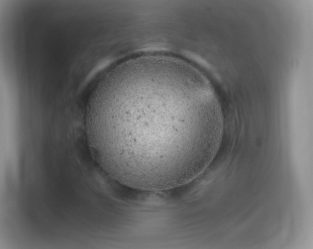 X0000114431255200910231227