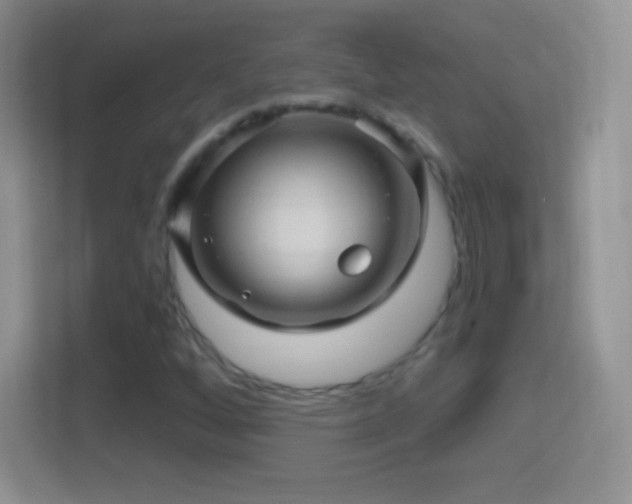 X0000114431256200910231227