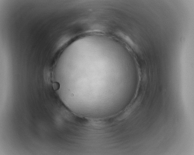 X0000114431258200910231227
