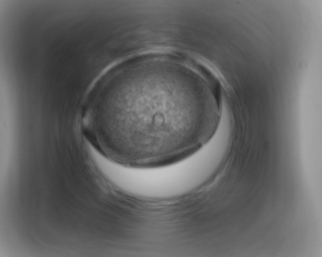 X0000114431260200910231227