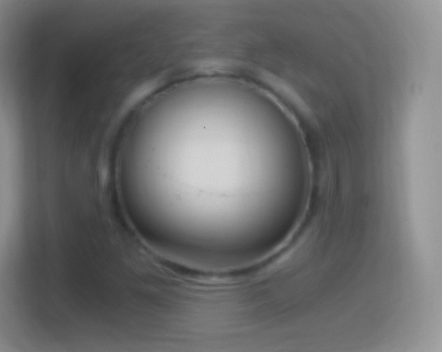 X0000114431261200910231226