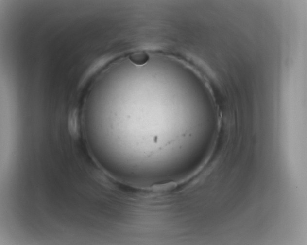 X0000114431262200910231226