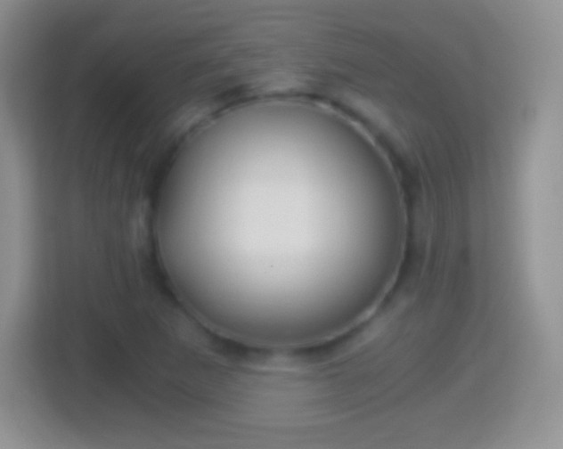 X0000114431265200910231226