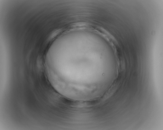 X0000114431266200910231226
