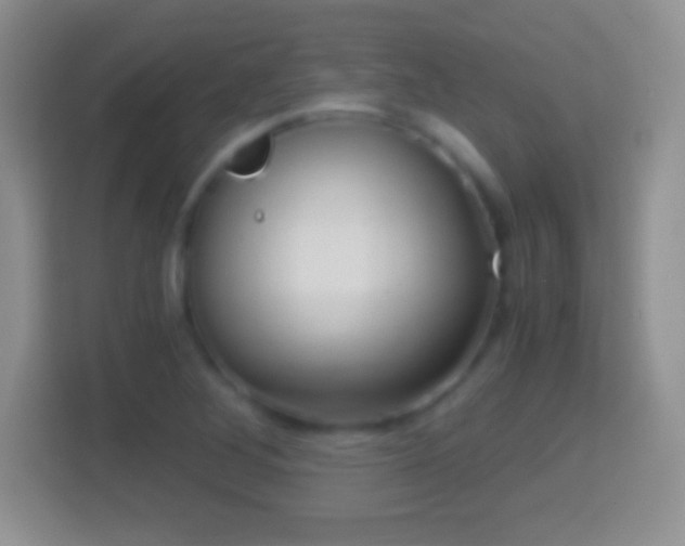 X0000114431268200910231226