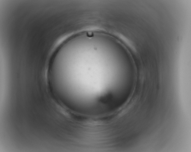 X0000114431270200910231226