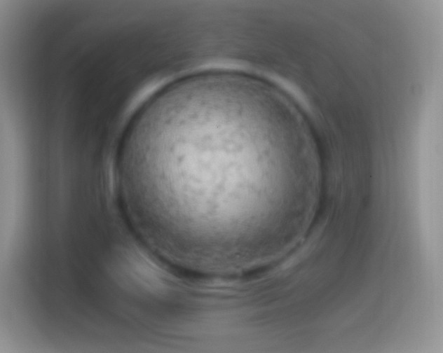 X0000114431271200910231226