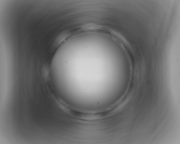 X0000114431273200910231226