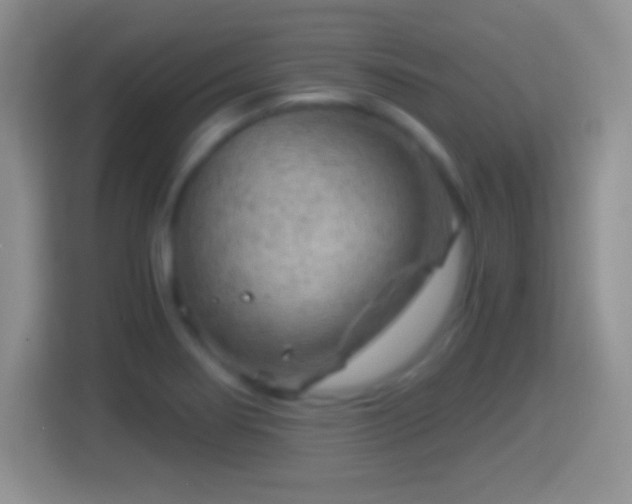 X0000114431274200910231226