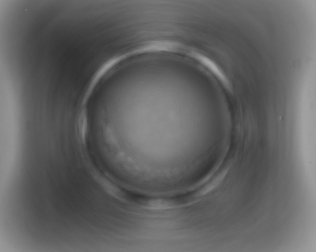 X0000114431275200910231226