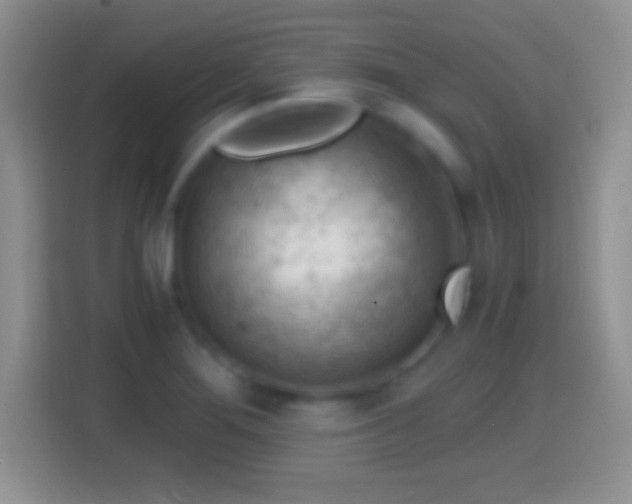 X0000114431276200910231226