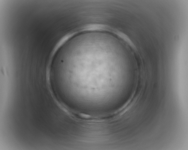 X0000114431277200910231226
