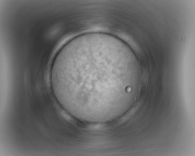 X0000114431278200910231226
