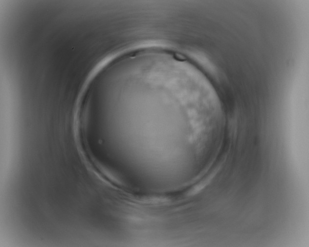 X0000114431279200910231226
