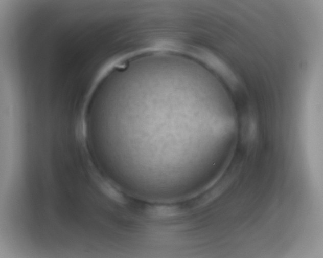 X0000114431280200910231226