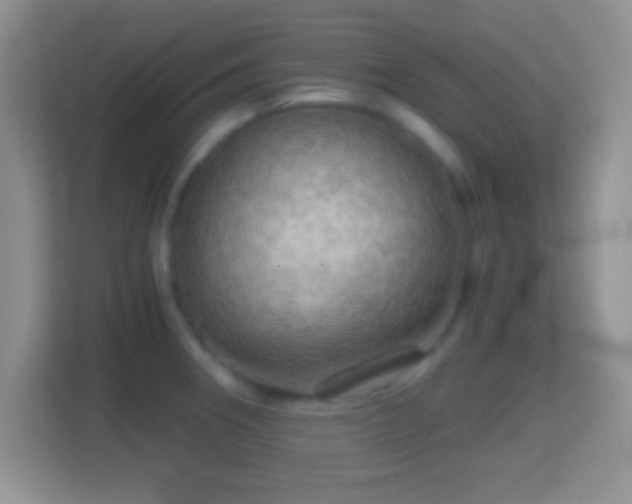 X0000114431282200910231226