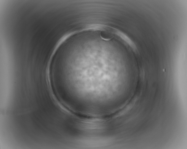 X0000114431283200910231226