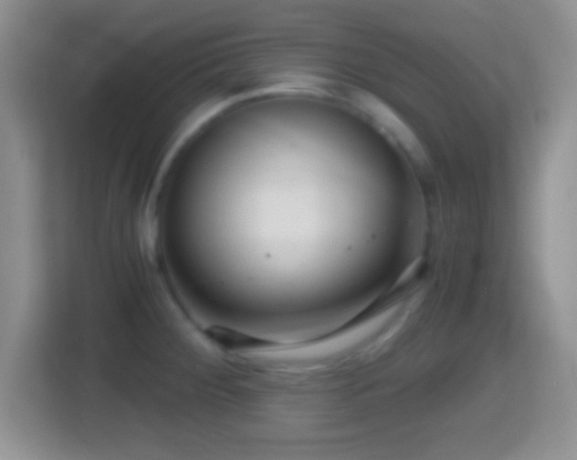 X0000114431284200910231226