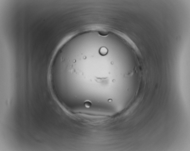 X0000114431285200910231226