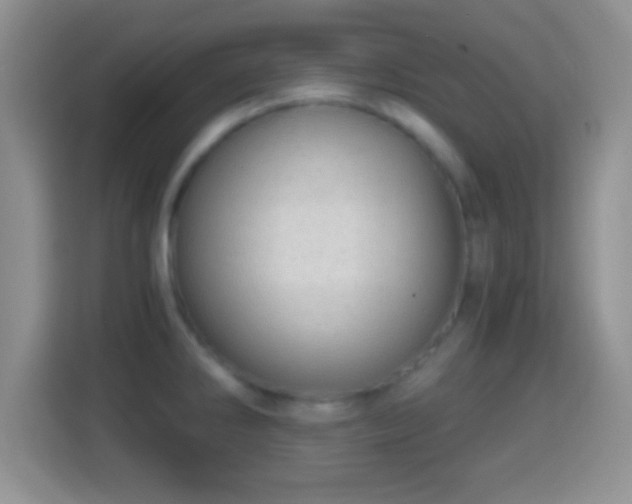 X0000114431286200910231226