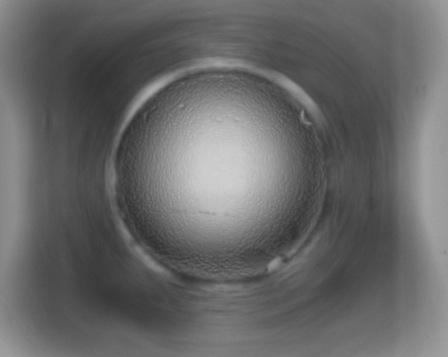 X0000114431287200910231226
