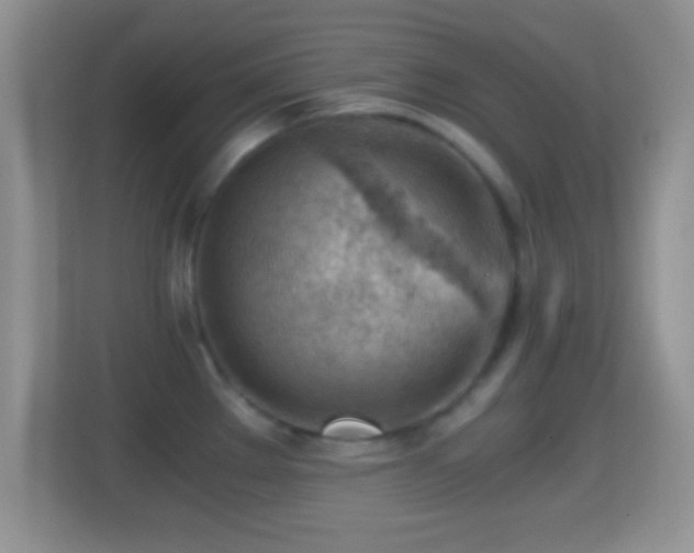 X0000114431289200910231226