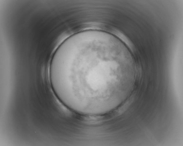 X0000114431290200910231226