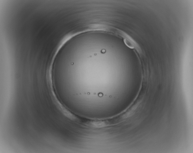 X0000114431291200910231226