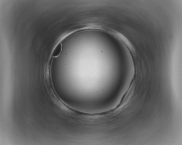 X0000114431292200910231226