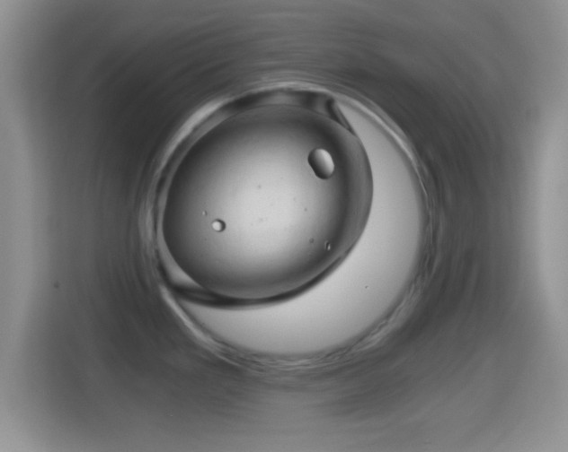X0000114431293200910231226