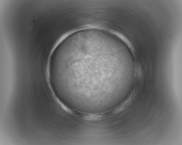 X0000114431294200910231226