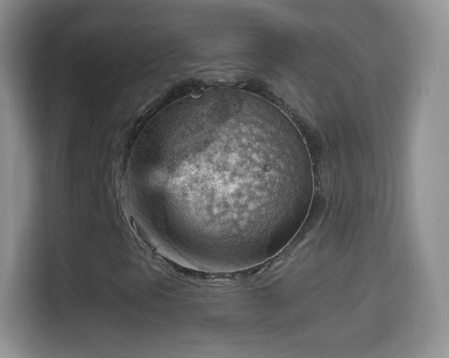 X0000114431297200910231225