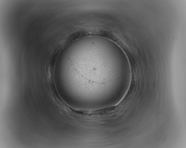 X0000114431298200910231225