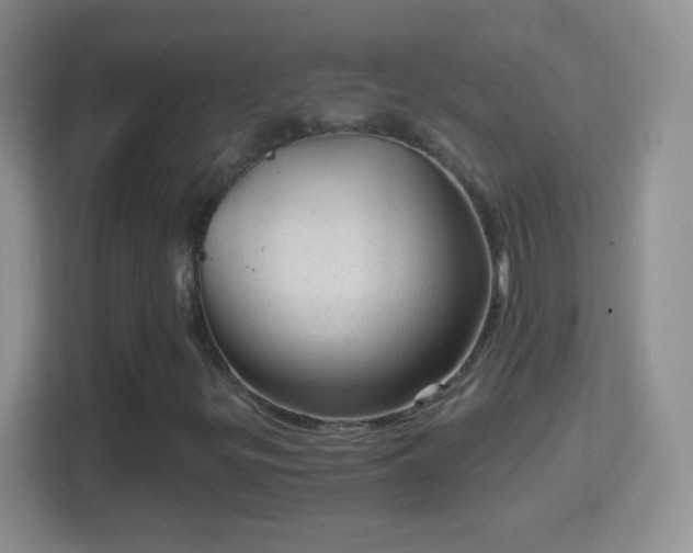 X0000114431299200910231225