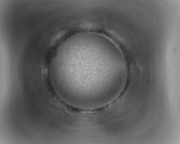 X0000114431302200910231225