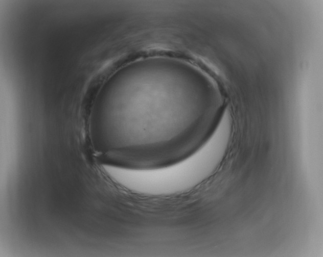 X0000114431303200910231225