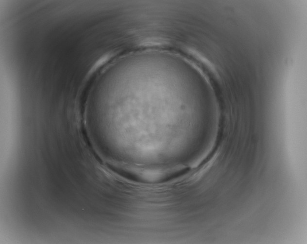 X0000114431306200910231226