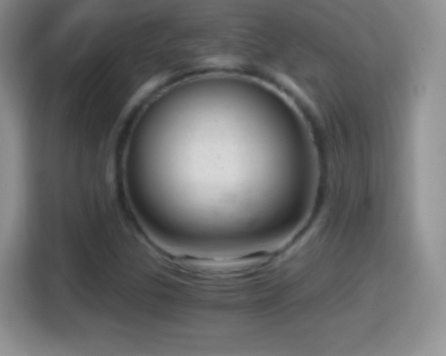 X0000114431307200910231226