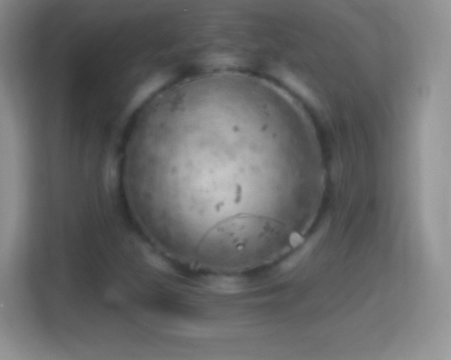 X0000114431309200910231226