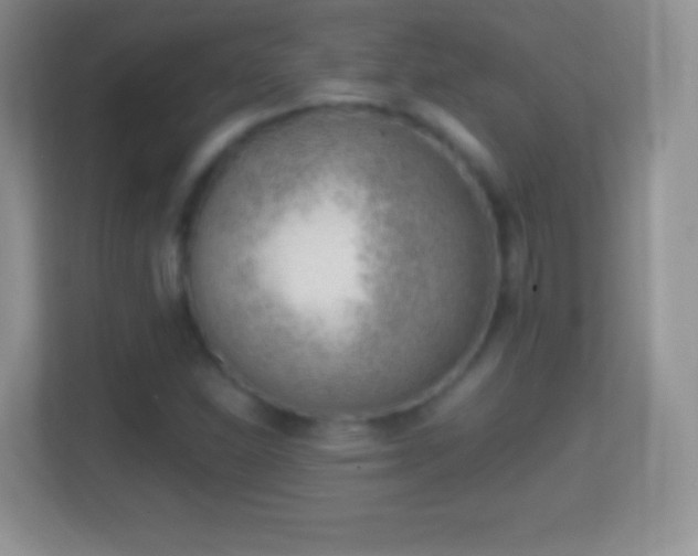 X0000114431310200910231226