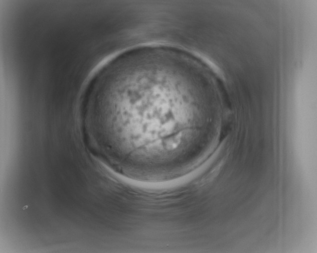X0000114431311200910231226