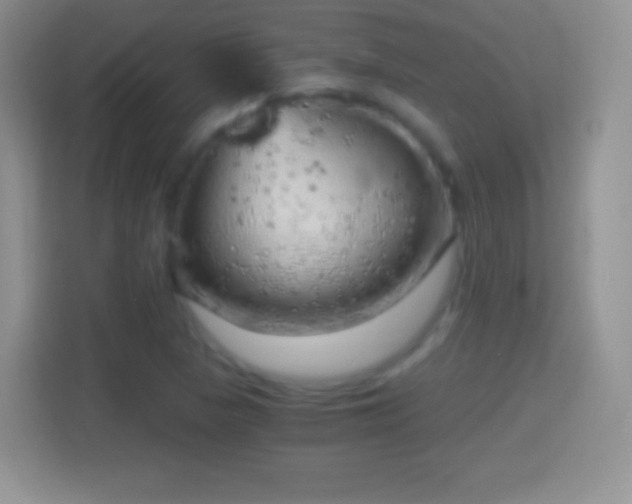 X0000114431313200910231226