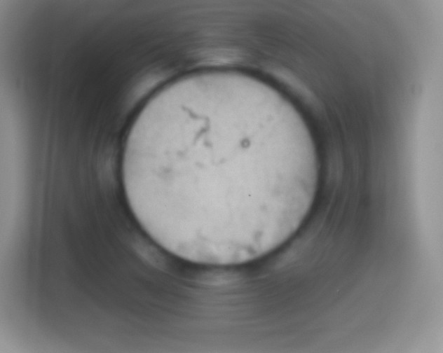 X0000114431314200910231226