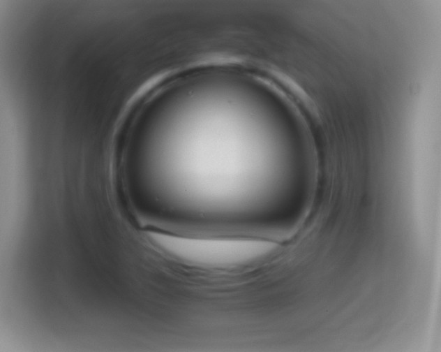 X0000114431315200910231226