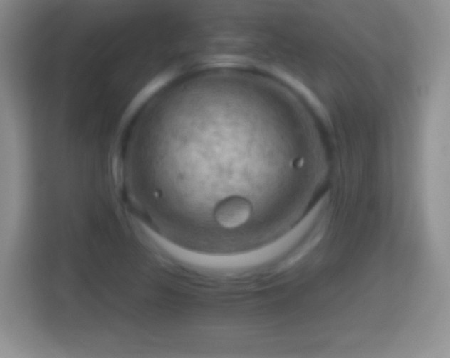 X0000114431317200910231226