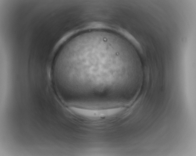 X0000114431318200910231226