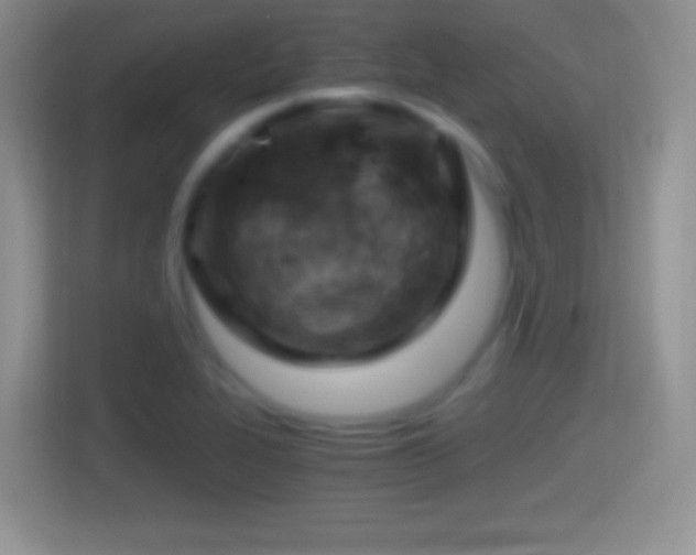 X0000114431319200910231226