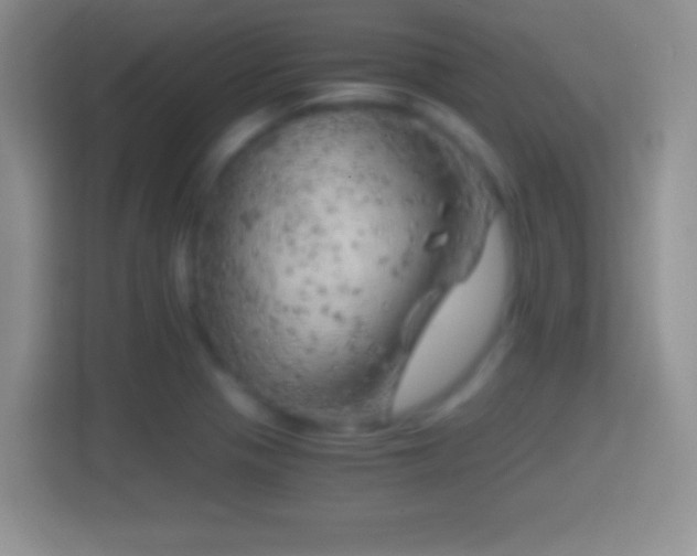 X0000114431321200910231226