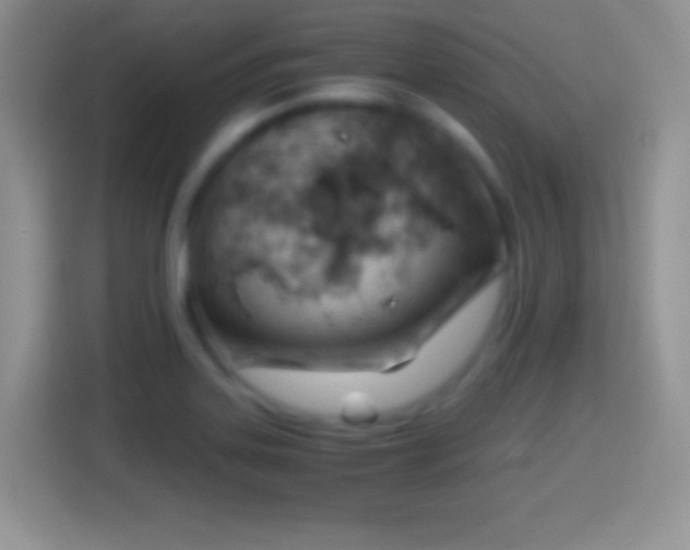 X0000114431323200910231226