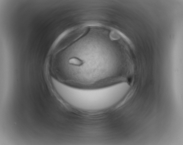 X0000114431325200910231226